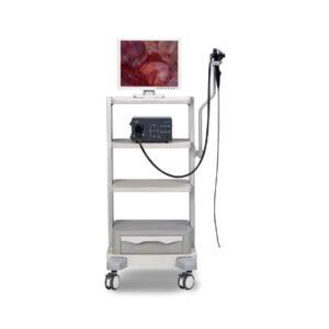 Endoscopio Flexible Mindray Vetina ES3