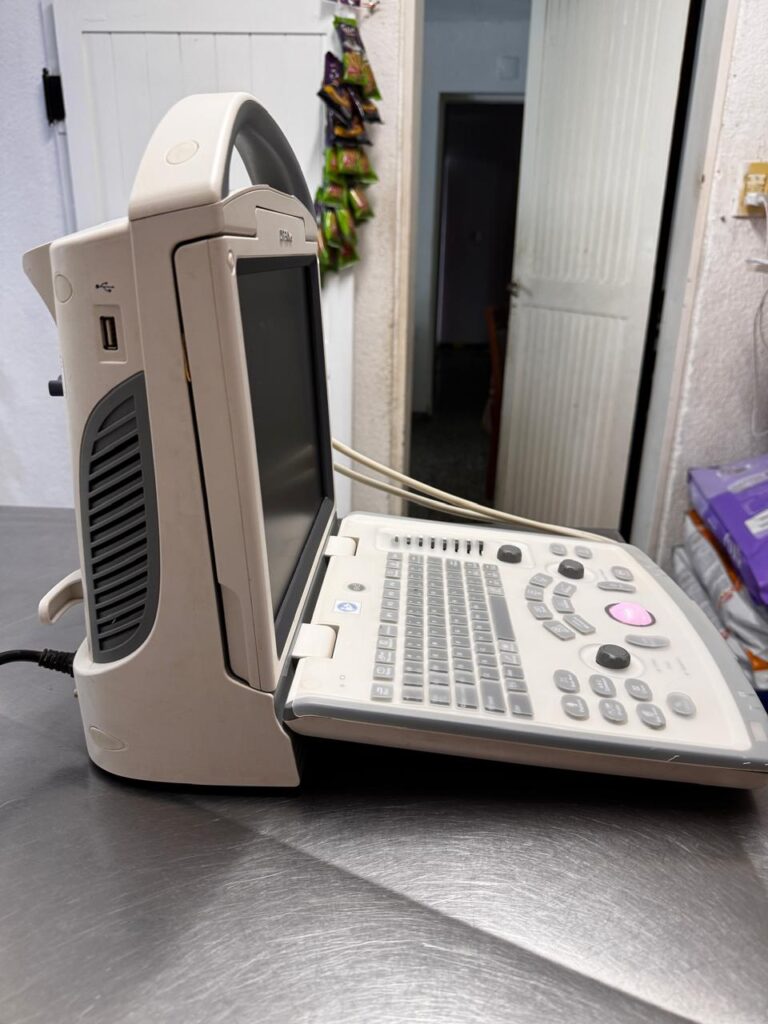 dp30vet 2