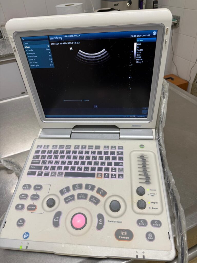z5 vet 1