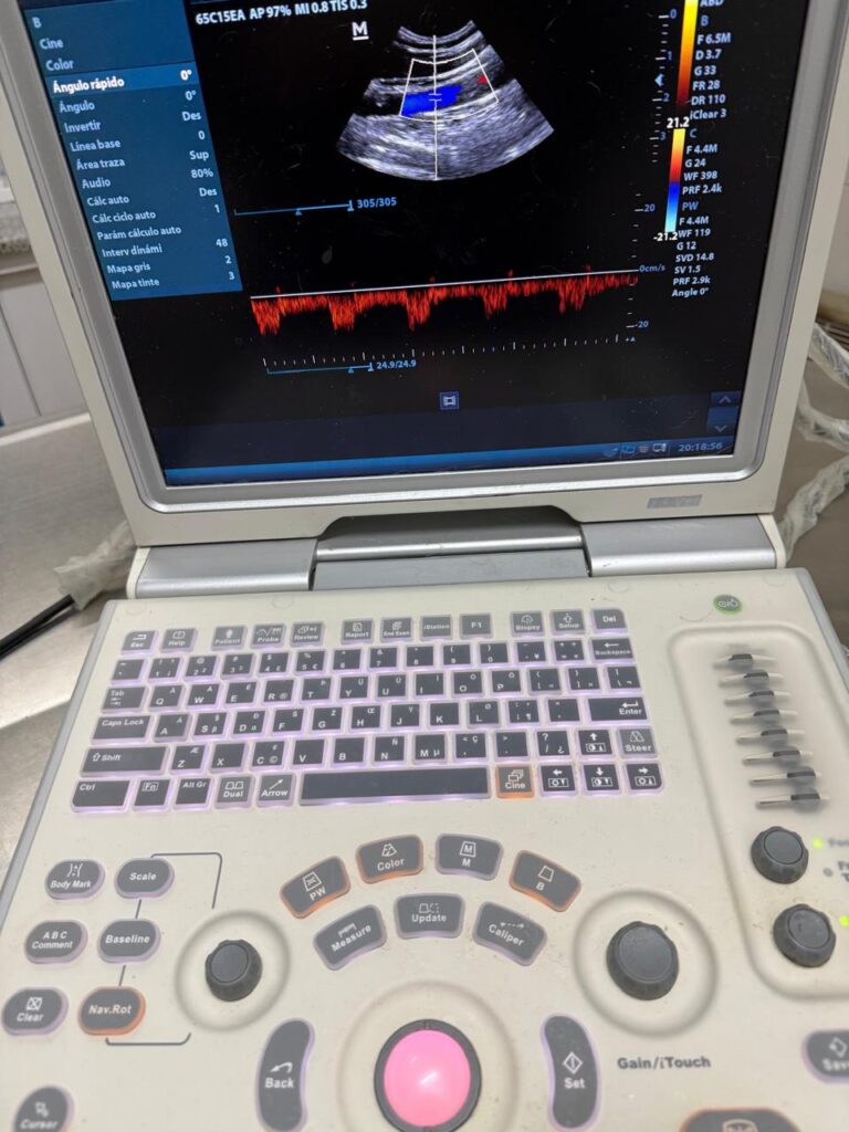 z5 vet 4