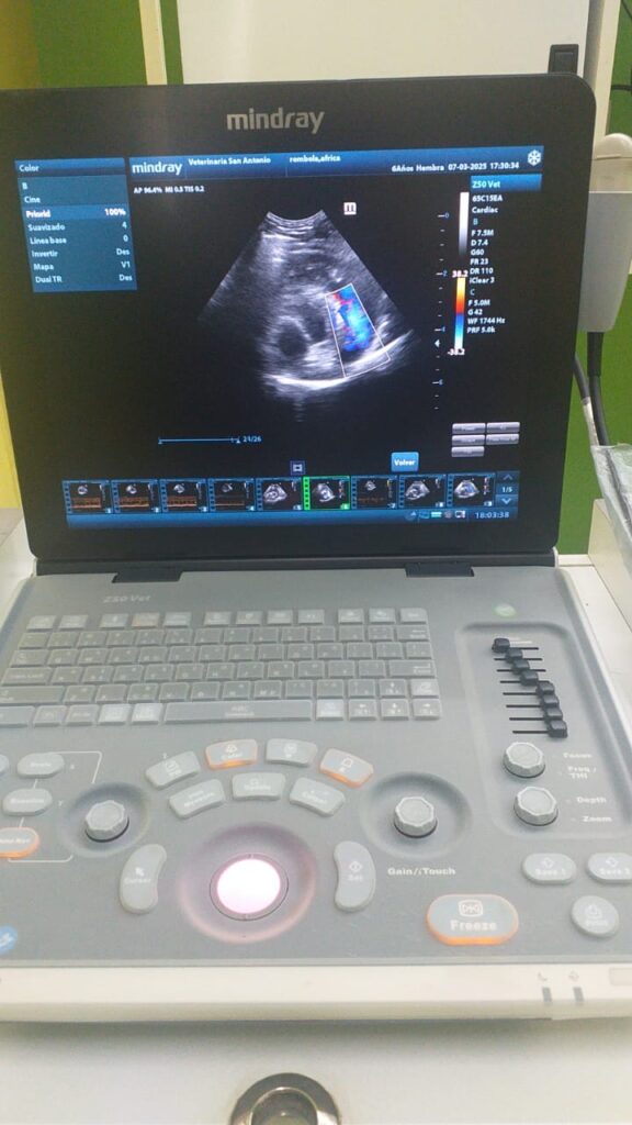 z50 2020 microconvexo baterias 2026 2
