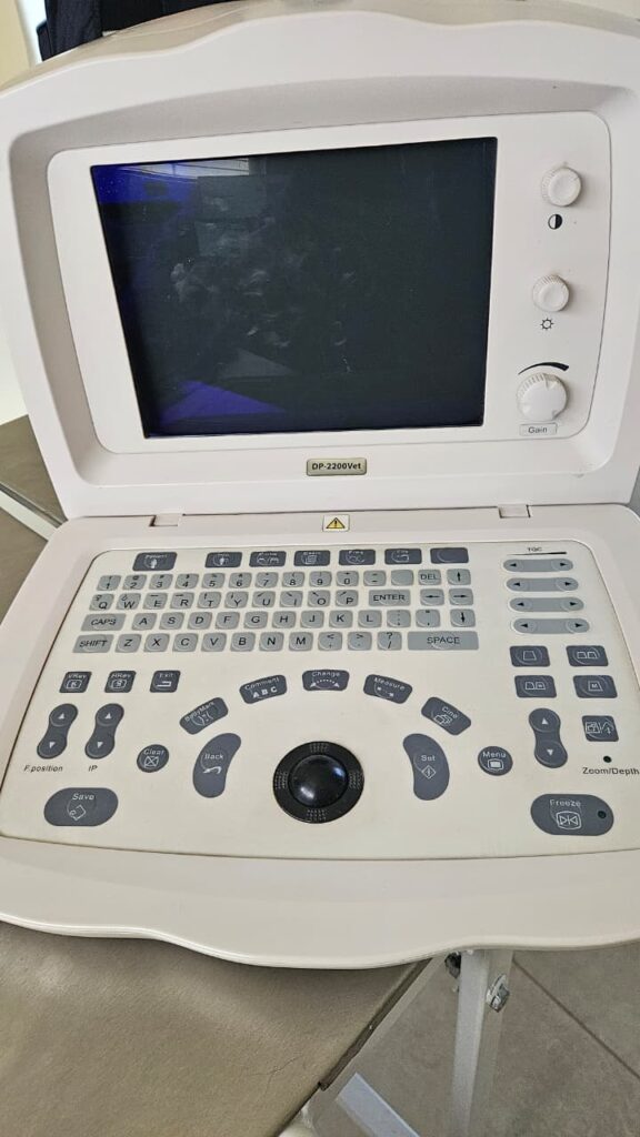 dp2200 vet 1