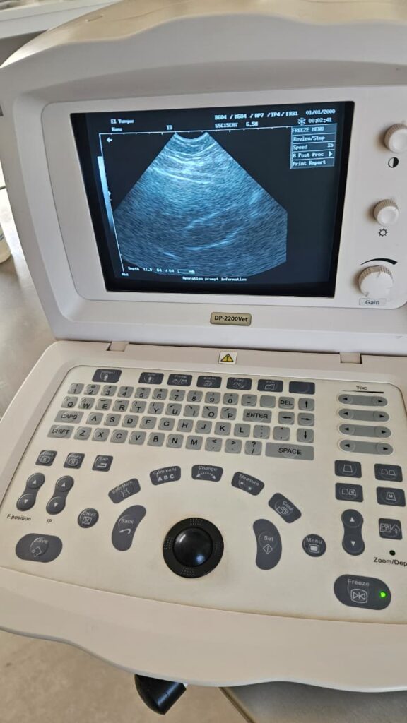 dp2200 vet encendido